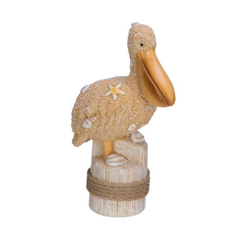 Beachcombers Sand And Shell Pelican
