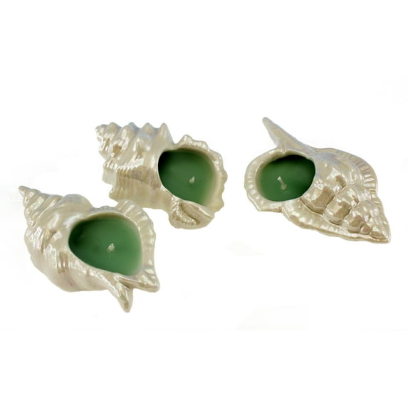 Beachcombers Seashell Shaped Pearlescent Candle Holders Set of 3