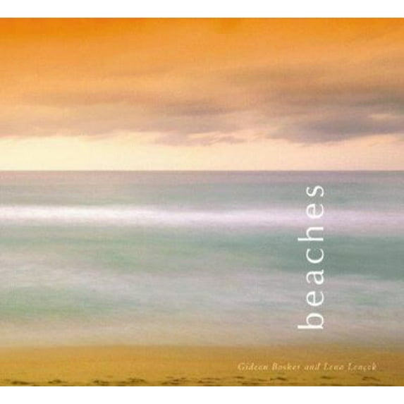 Pre-Owned Beaches (Hardcover) 0811826503 9780811826501