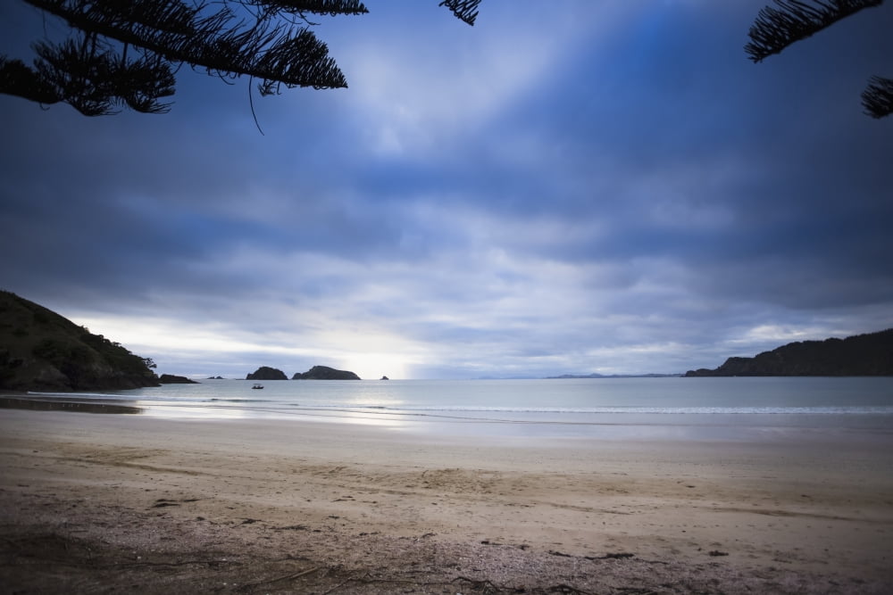 Beachfront camping in Matauri Bay Northland New Zealand Canvas Art - Micah Wright Design Pics (36 x 24)