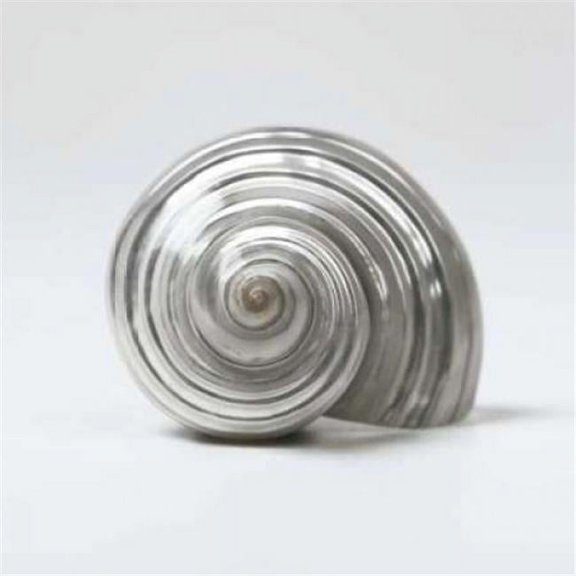 Beachside Treasure II Poster Print by Assaf Frank, 24 x 24 - Large