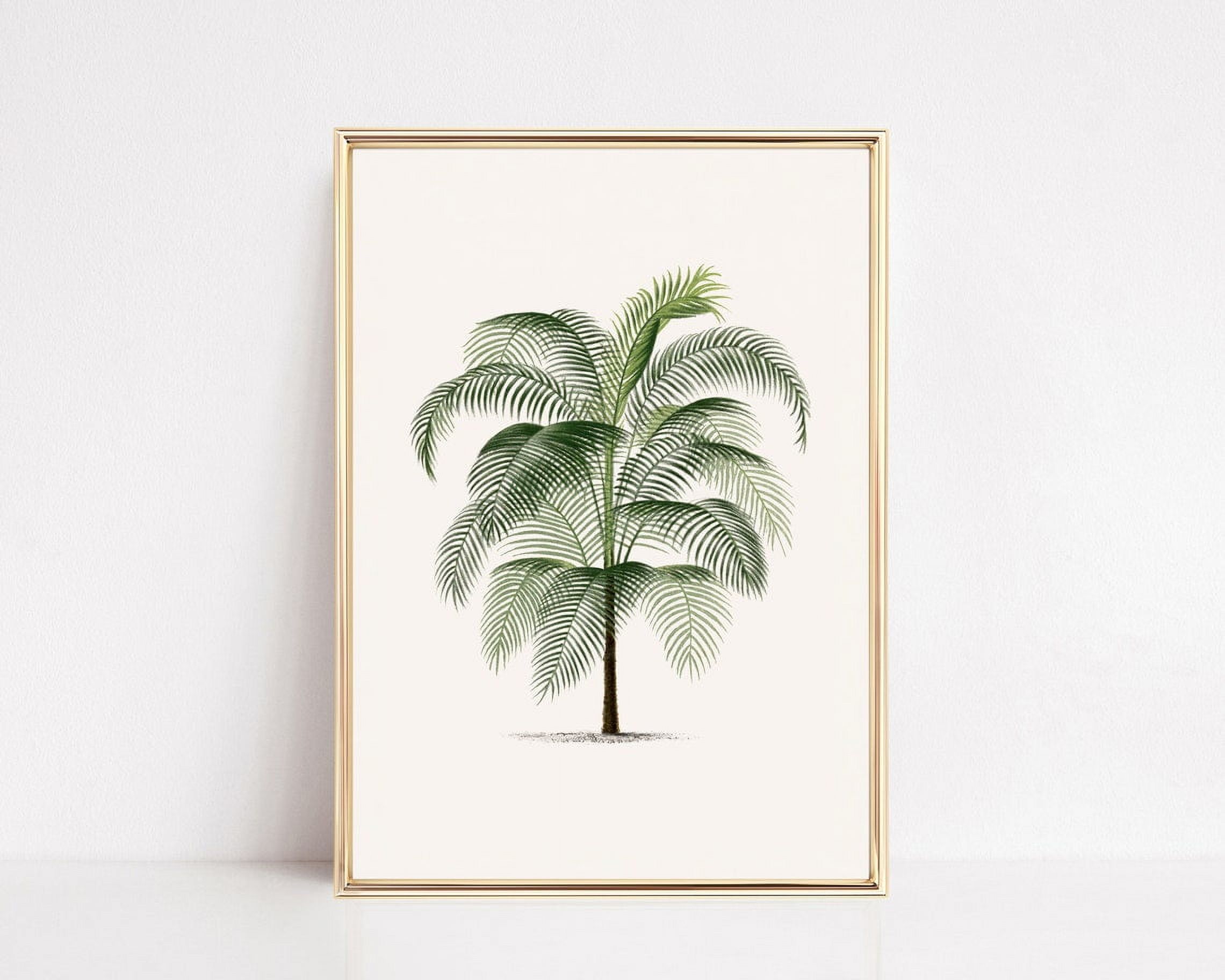 Picture of Beachy Wall Art Vintage Palm Tree Print Coastal Wall Art Palm Tree ...