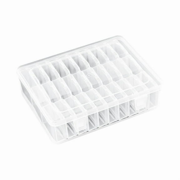 Bead Organizer Box, 30Pcs Small Clear Plastic Bead Storage Containers for Jewelry Making DIY Screws Seeds,1 x Bead Organizer Box,Transparent