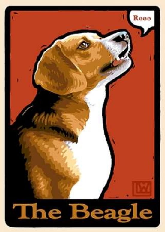 Beagle Canvas Art - Laura Wilder (20 x 28)