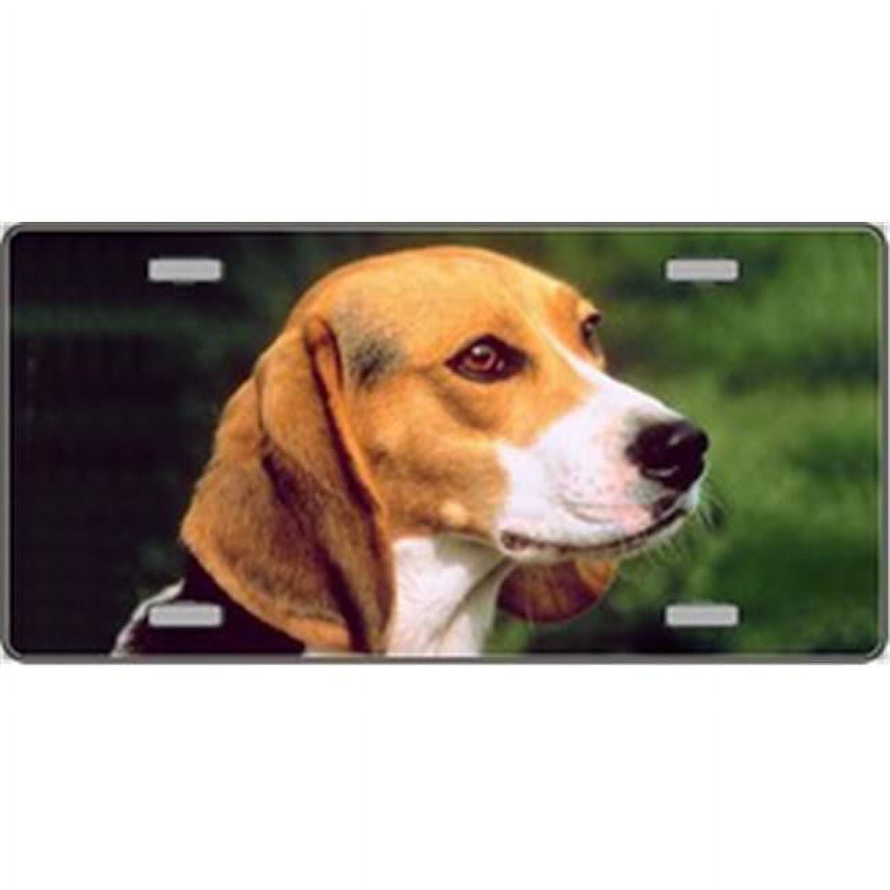 Beagle plates top