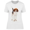 thumbnail image 1 of Beagle Dog. Standing T-Shirt Women -Image by Shutterstock, Female 3X-Large, 1 of 2
