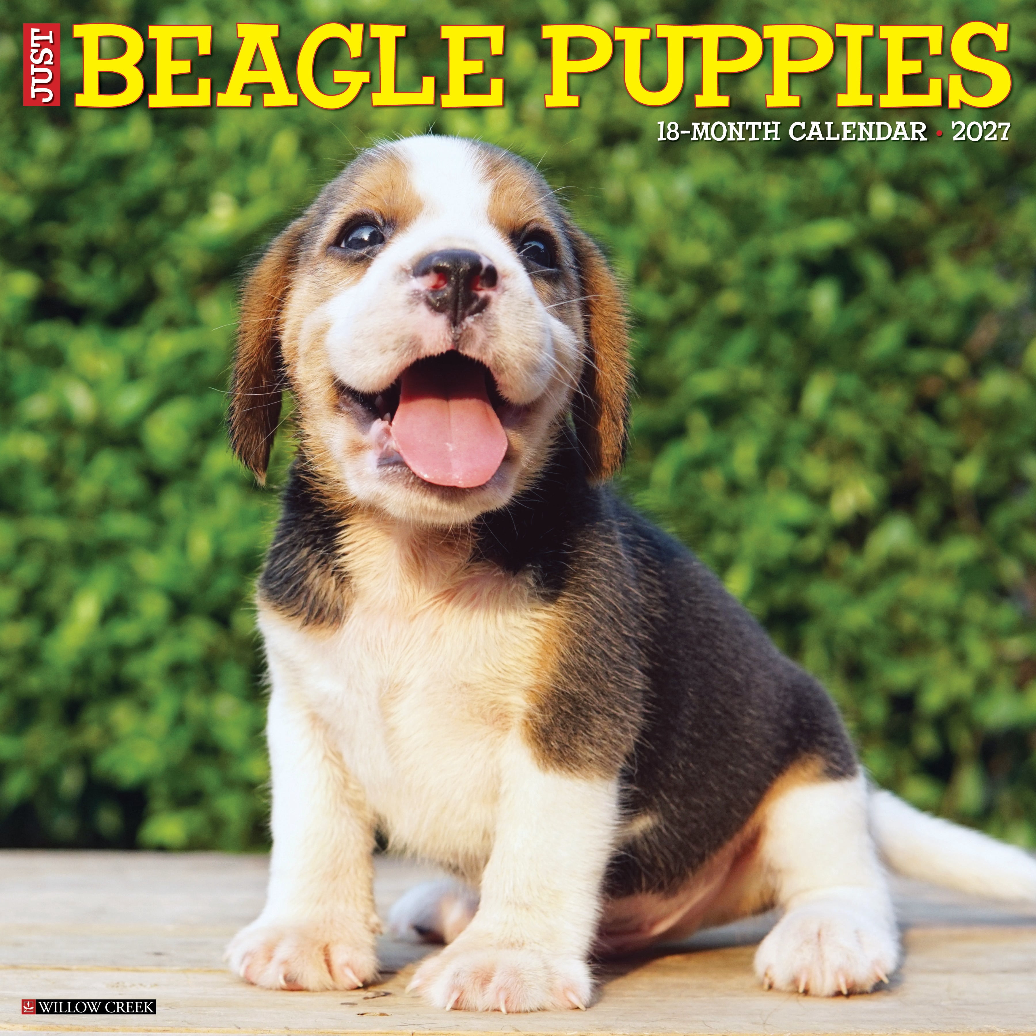 Willow Creek Press, Beagle Puppies 2027 Wall Calendar