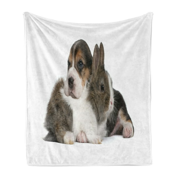 Beagle Soft Flannel Fleece Blanket, Pets Rabbit and Puppy Animal Kingdom Friendship Best Companions Bunny Picture, Cozy Plush for Indoor and Outdoor Use, 60" x 80", Taupe Black White, by Ambesonne