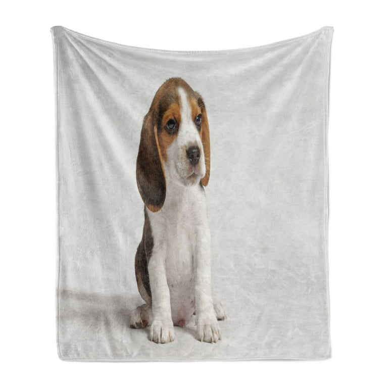 Beagle Soft Flannel Fleece Blanket Puppy Hunting Dog Scent Hound Animal Portrait Looking and Sitting Cozy Plush for Indoor and Outdoor Use 50