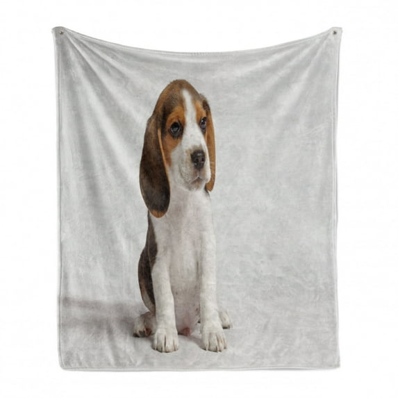 Beagle Soft Flannel Fleece Blanket, Puppy Hunting Dog Scent Hound Animal Portrait Looking and Sitting, Cozy Plush for Indoor and Outdoor Use, 60" x 80", Off White Caramel and Brown, by Ambesonne