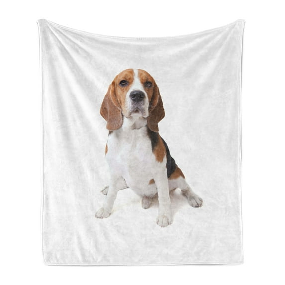 Beagle Soft Flannel Fleece Throw Blanket, Beagle Dog Posing Loving Puppy Furry Friend Companion Domestic Animal, Cozy Plush for Indoor and Outdoor Use, 60" x 80", Cinnamon Black White, by Ambesonne