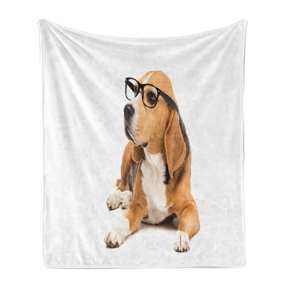 Beagle Soft Flannel Fleece Throw Blanket, Dog Wears Glasses Lying and Looking Away Animal Image on Plain Backdrop, Cozy Plush for Indoor and Outdoor Use, 50" x 60", White and Multicolor, by Ambesonne