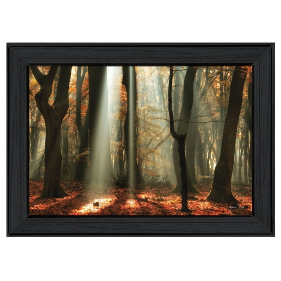Beam Me Up By Martin Podt Printed Framed Wall Art Wood Multi-Color