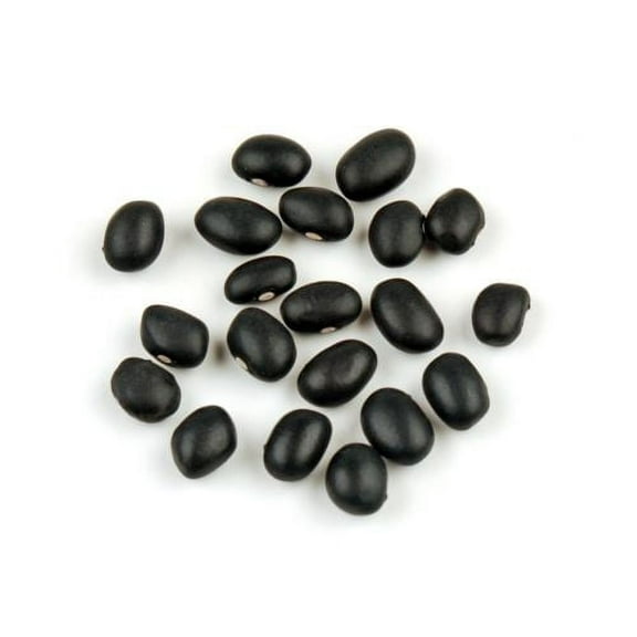 Bean Black Turtle Great Heirloom Garden Vegetable by Seed Kingdom Bulk 5 Lb Seeds
