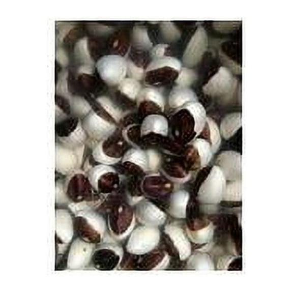 Bean Calypso Great Heirloom Garden Vegetable By Seed Kingdom BULK 1 Lb Seeds