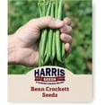 thumbnail image 1 of Harris Seeds - Green Bean Crockett Variety Treated Vegetable - 10,000 Seeds, 1 of 7