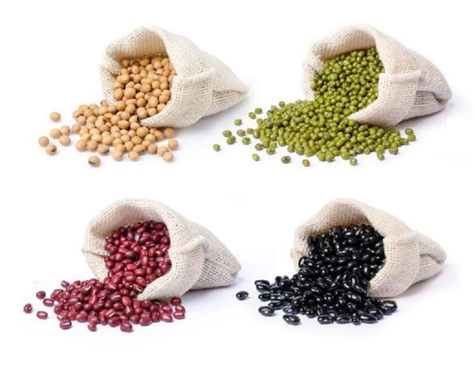 Bean Grower Bundle 100 Seeds of Each Type Soybeans, Mung Beans