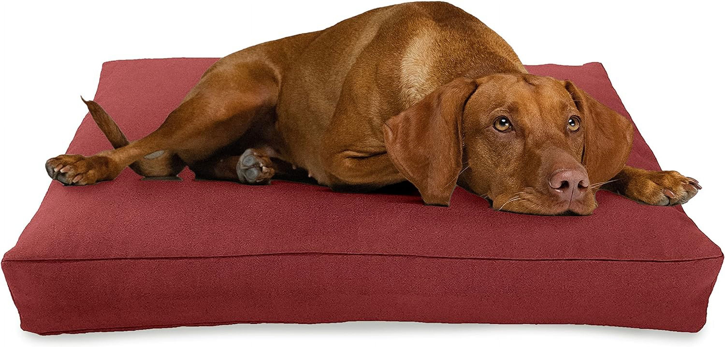 Organic orthopedic dog bed hot sale