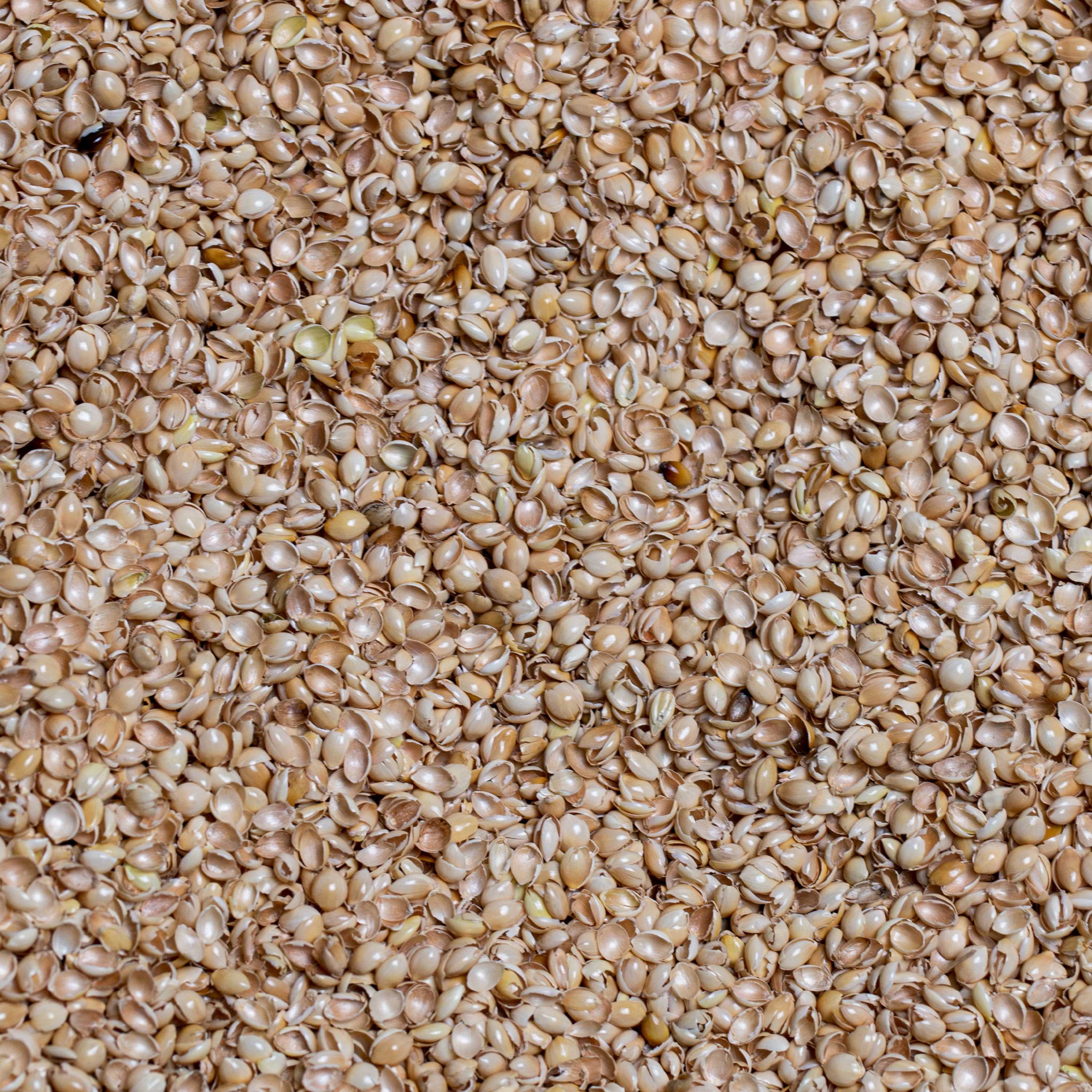Organic Beige Millet Hulls for Pillows and Cushions, 1 lb