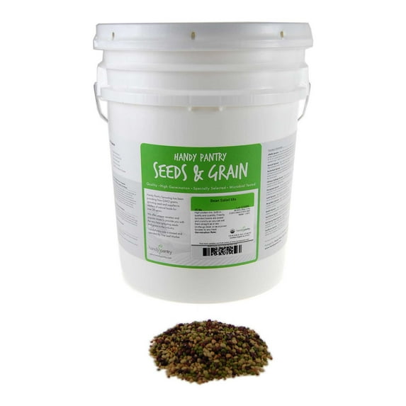 Bean Salad Sprouting Seed Mix- Certified Organic- 35 Lbs Bulk Bucket - Handy Pantry Brand: Mix of Bean Sprout Seeds: Adzuki, Mung Bean, Green Lentil & Radish. For Sprouting Sprouts, Soup, Food Storage