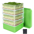 Bean Seed Germination Kit, MicroGreen Plant Growing Tray, Drain Tray