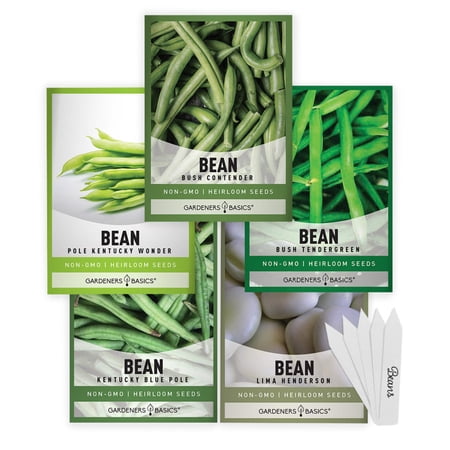 Bean Seeds For Planting | 5 Variety Pack