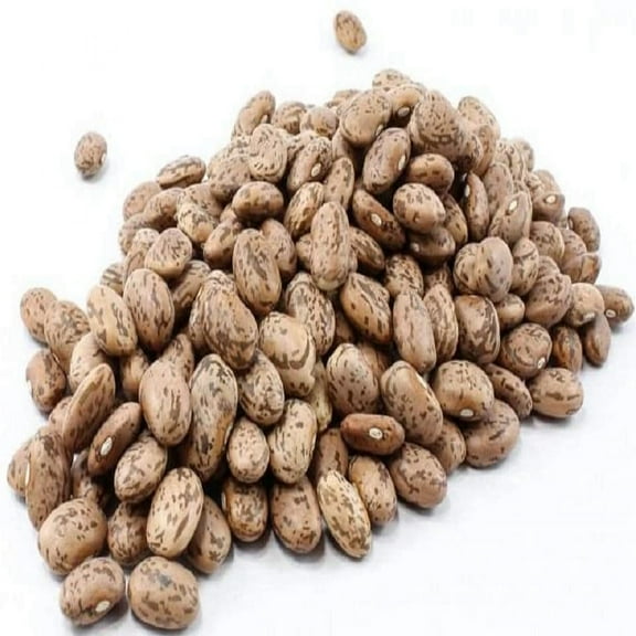 Bean Seeds,Pinto Shell Bean- 100 Count Seed Pack -Most Notably Used in Mexican Cuisine - Country Creek LLC