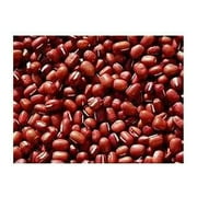 Bean Small Red Great Heirloom Garden Vegetable By Seed Kingdom BULK 1 Lb Seeds