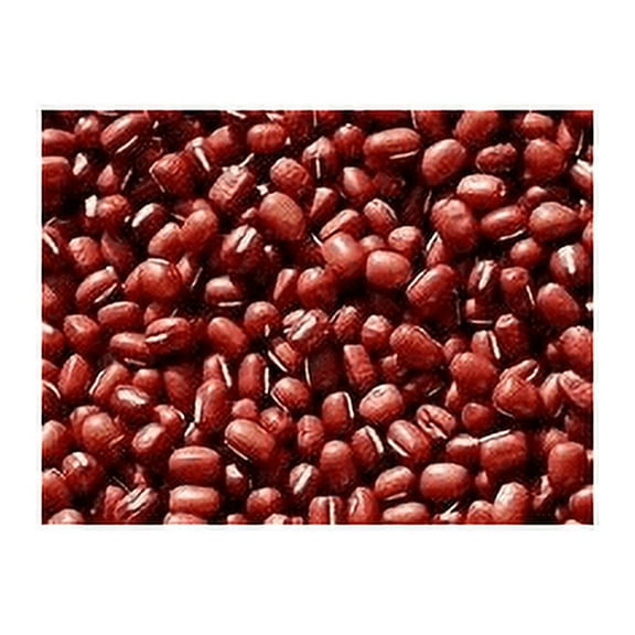 Bean Small Red Great Heirloom Garden Vegetable by Seed Kingdom Bulk 5 Lb Seeds