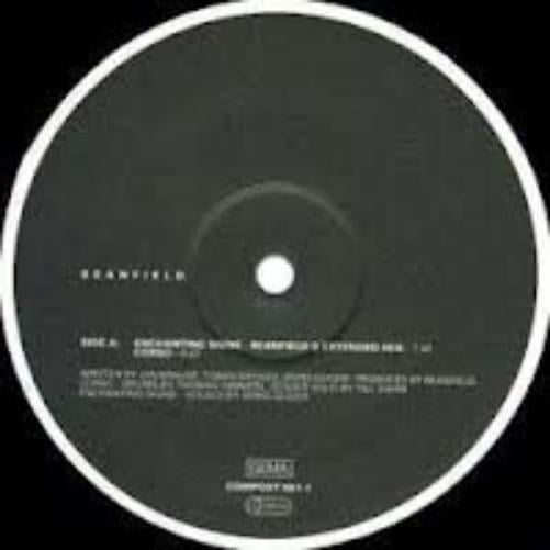 Beanfield Enchanting Signs (Vinyl Record)