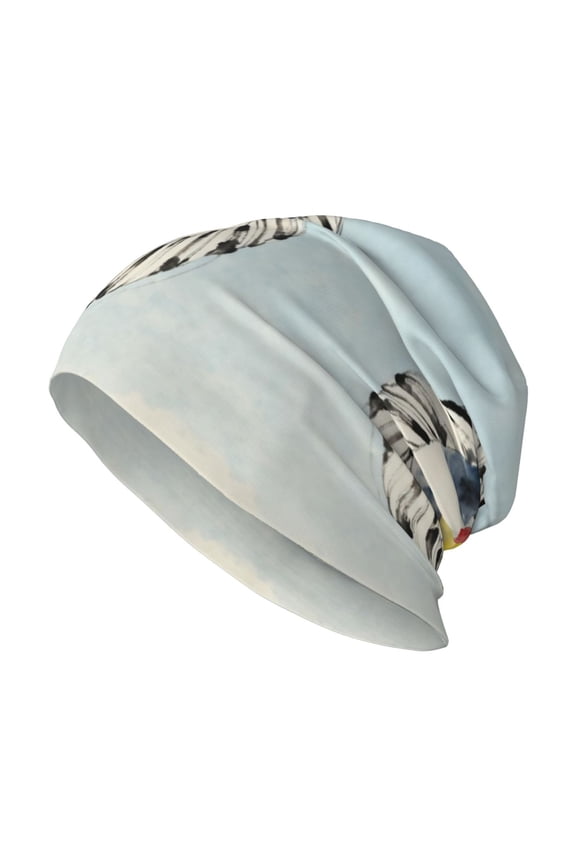 Beanie Hat Fun Colorado Pattern Hip-Hop Warm Skull Caps Unisex Baggy Beanie For Women