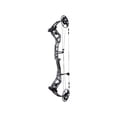 thumbnail image 1 of Bear Archery Surpass Compound Bow Right Hand 70 lb Stone, 1 of 6