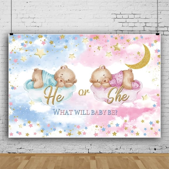 Bear Baby Shower Backdrop He or She Pink or Blue Moon Stars What will Baby be Gender Reveal Backdrops for Photography Party Decorations Photo Booth Props