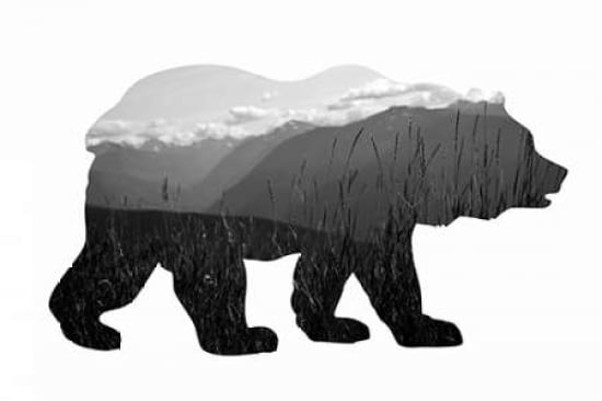 Bear Canvas Art - Amber Berninger (24 x 36)