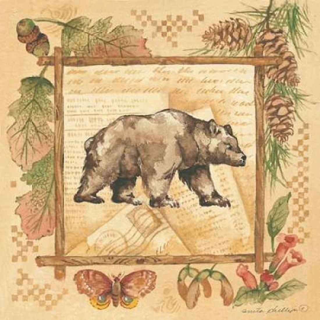 Bear Canvas Art - Anita Phillips (24 x 24)