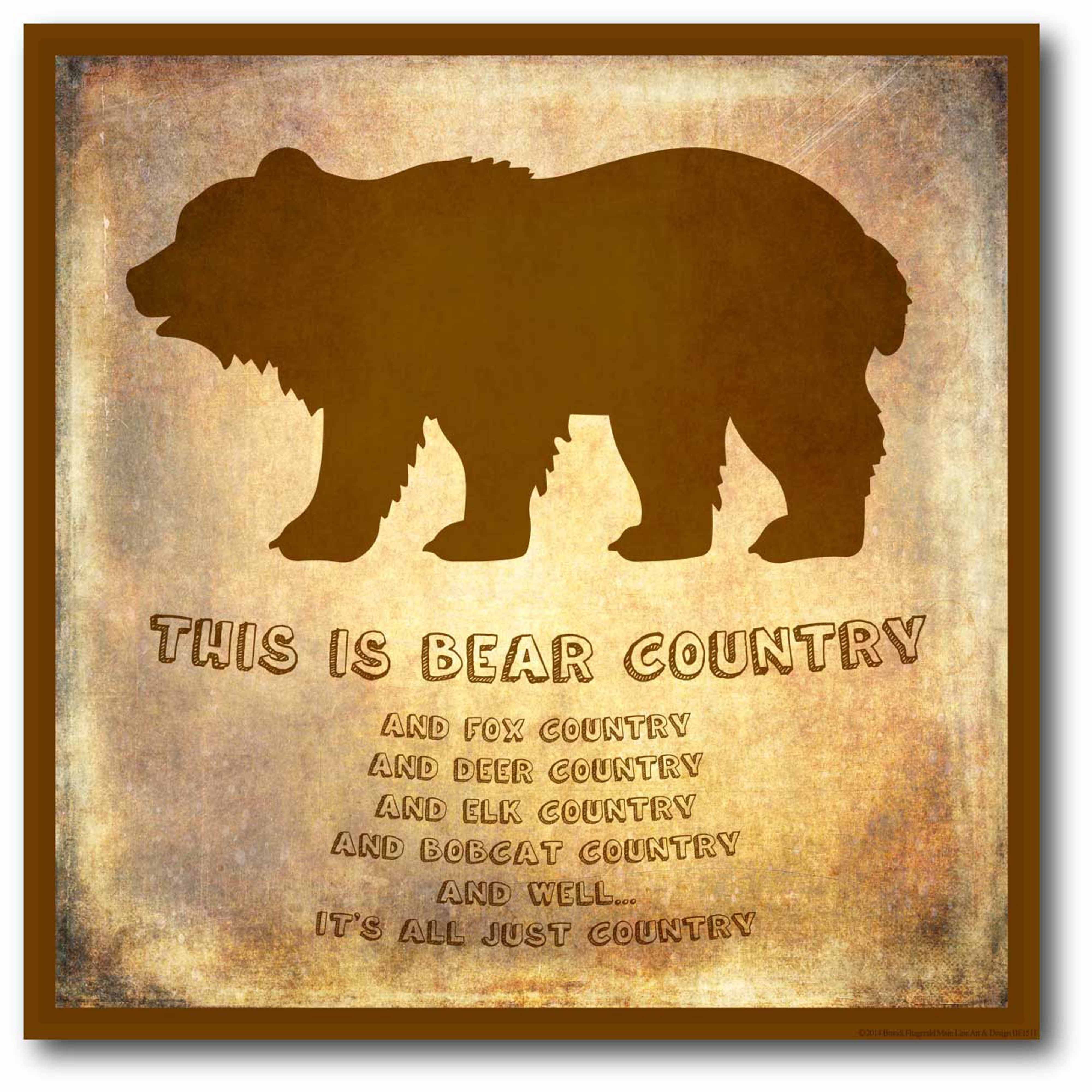 Bear Country Gallery-Wrapped Canvas Wall Art, 16x16