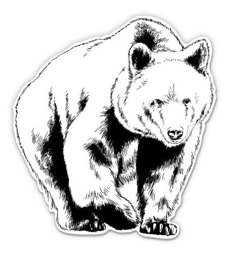 Bear Drawing Beautiful - 12