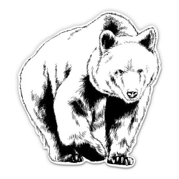Bear Drawing Beautiful - 3" Vinyl Sticker - For Car Laptop Water Bottle Phone - Waterproof Decal