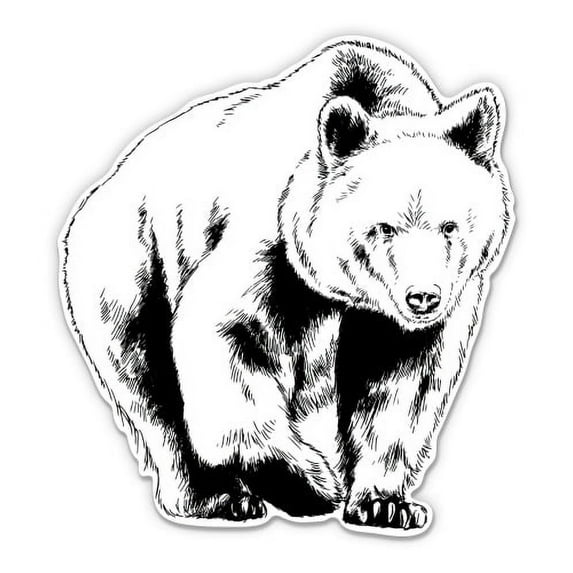 Bear Drawing Beautiful - 7" Vinyl Sticker - For Car Laptop I-Pad - Waterproof Decal