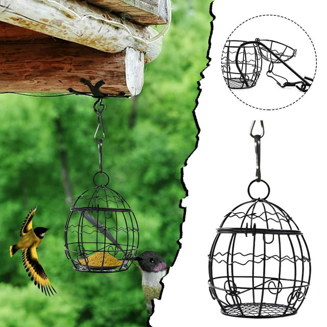 Bear Feeder Metal Wild Feeder Feeder No Squirrel Bungee Cord Squirrel