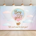 thumbnail image 1 of Bear Gender Reveal Backdrop Cute Hot Air Balloon Boy or Girl Reveal Photography Background Pastel Pink Blue Clouds Newborn Baby Shower Party Decorations Banner Supplies Photo Booth Props, 1 of 6
