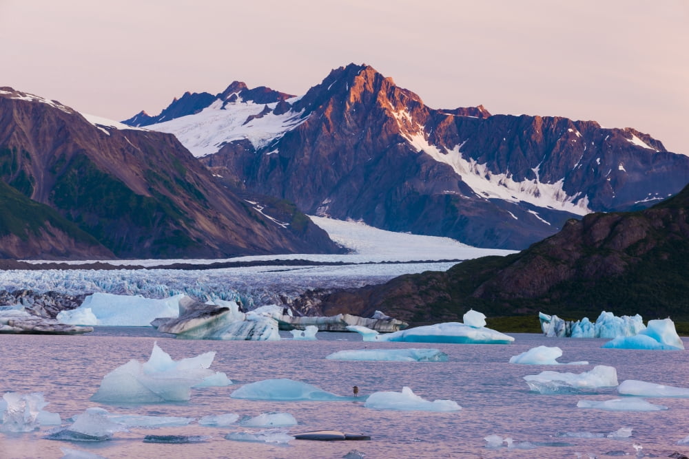 Bear Glacier Lake With Icebergs At Sunset Kenai Fjords National Park Kenai Peninsula And Mountains In SummerAlaska Usa Canvas Art - Michael DeYoung  Design Pics (34 x 22)
