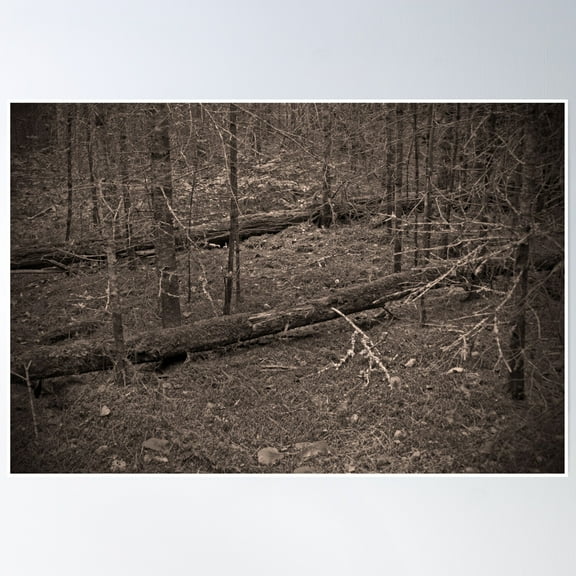 Bear Log Poster Wall Art, Modern Wall Decor, 8x12 UNFRAMED