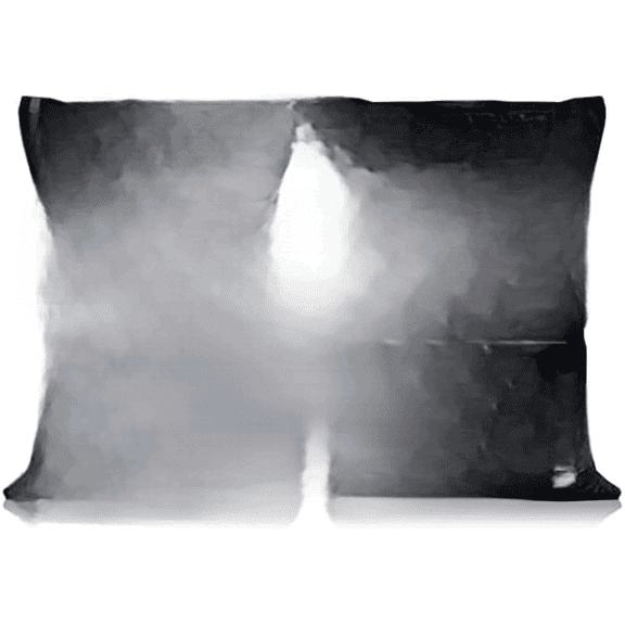 Bear Mountain BBQ Premium All Natural Mesquite Smoker Wood Chip Pellets for Outdoor Gas, Charcoal, and Electric Grills, 40 Pound (2 Pack)$$Tools & Hardware Other