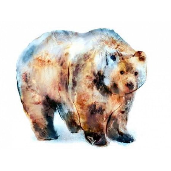 Bear Poster Print by Edward Selkirk (11 x 14)