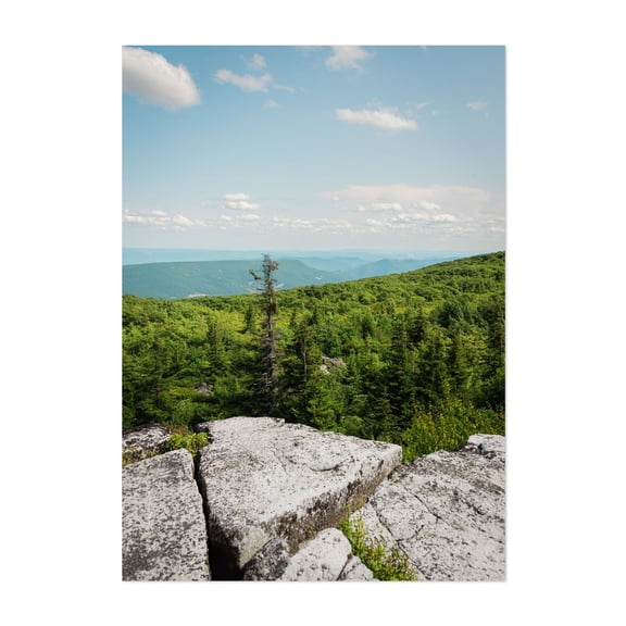 Bear Rocks View 01 - West Virginia Photography Nature Landscape Forest Mountain Scenic Summer Travel Poster Unframed Wall Art Print 4 x 6 inches
