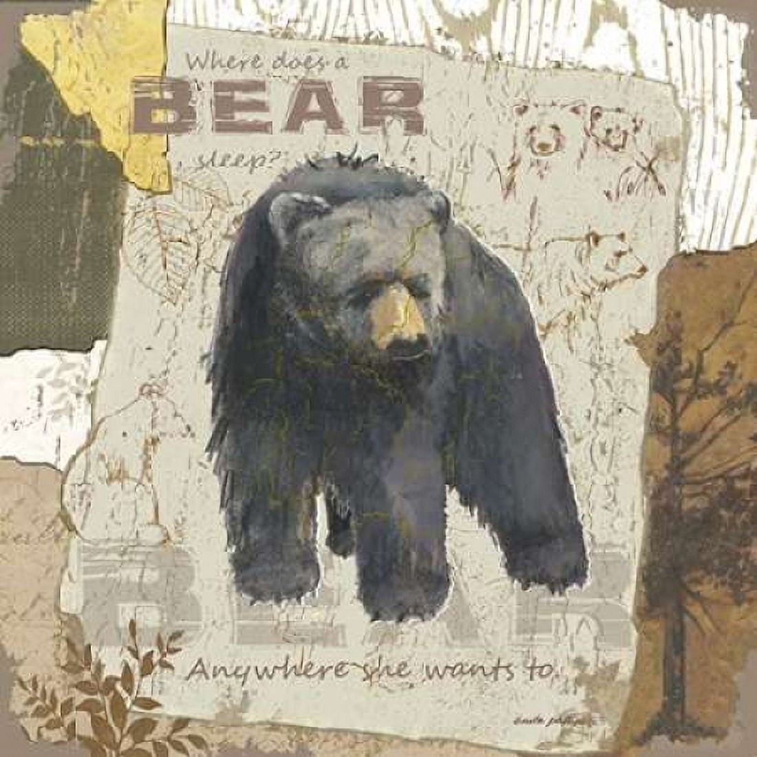 Bear Sleep Canvas Art - Anita Phillips (24 x 24)