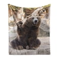 thumbnail image 1 of Bear Soft Flannel Fleece Throw Blanket, Friendly Animal Sitting and Waving a Paw in the Zoo Funny Wild Mammal Gesture, Cozy Plush for Indoor and Outdoor Use, 70" x 90", Brown Beige, by Ambesonne, 1 of 6