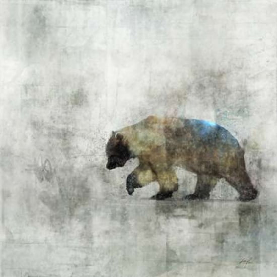 Bear Spring Canvas Art - Ken Roko (24 x 24)