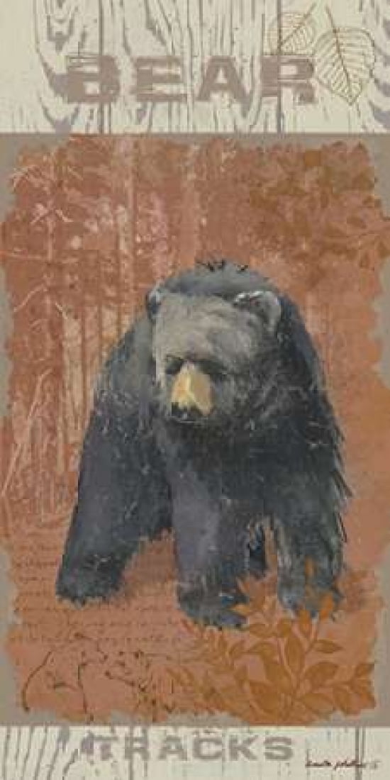 Bear Tracks Canvas Art - Anita Phillips (24 x 48)
